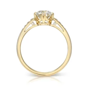 BAUER>SINGLE STONE Fashion