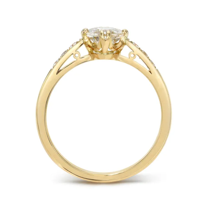 bauer_2-2.webp BAUER>SINGLE STONE New